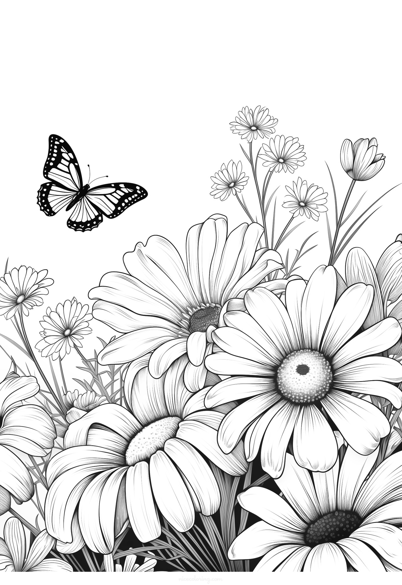 一只美丽的蝴蝶停留在花朵上的填色画